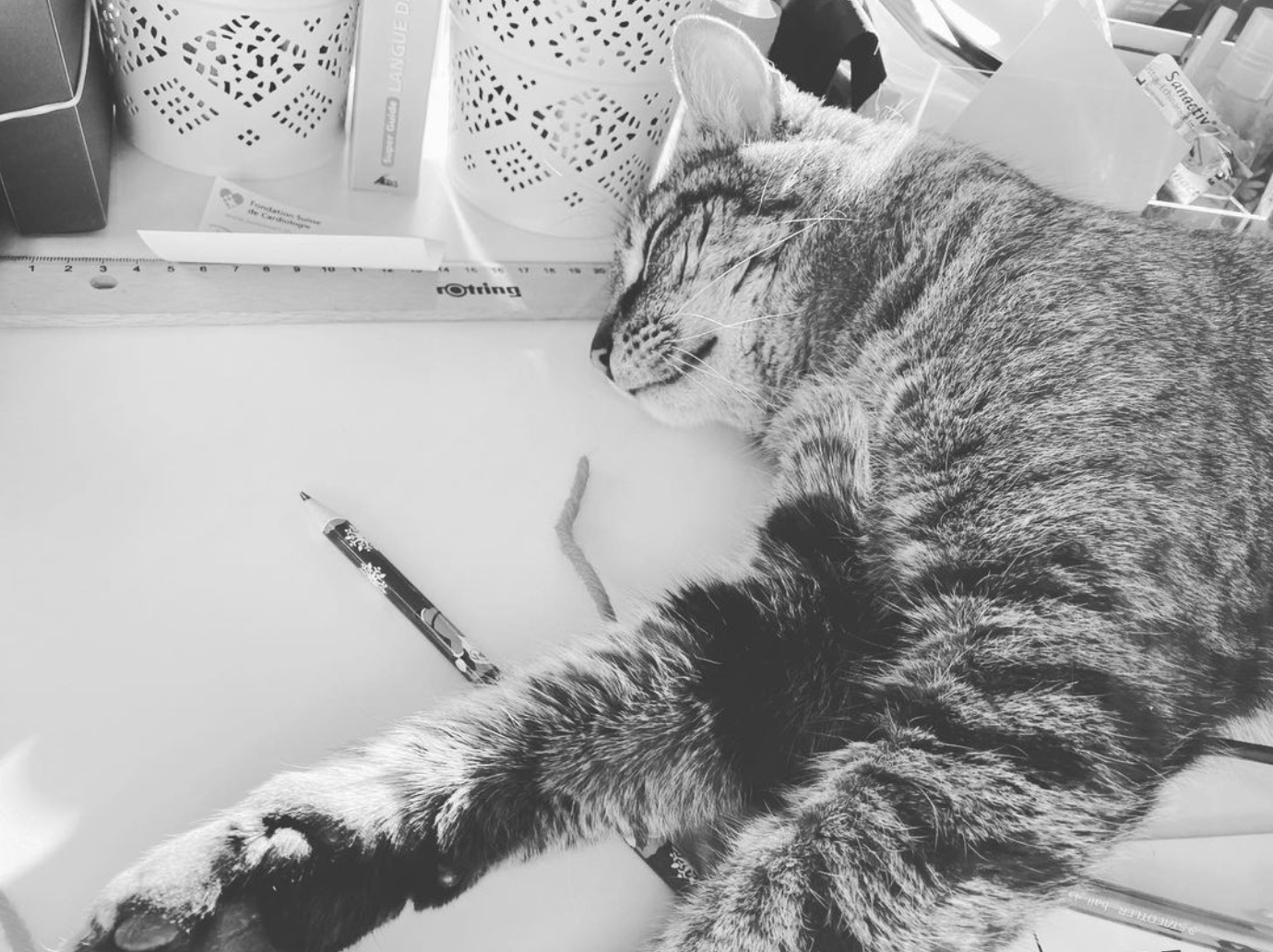 chat