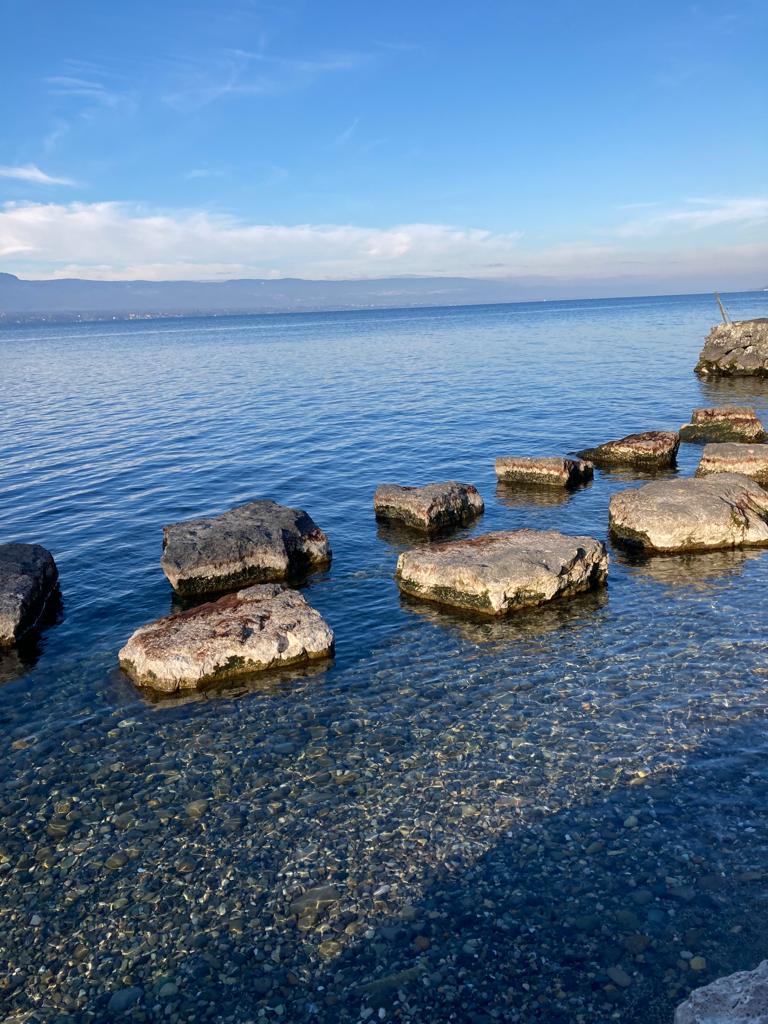 lac